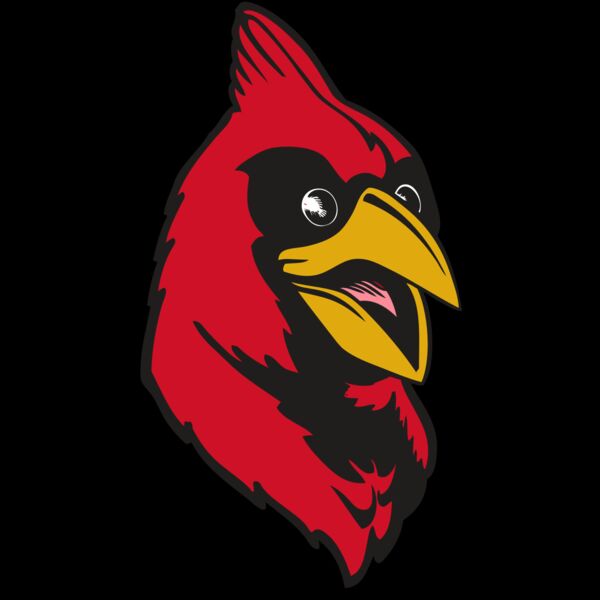 BAW CARDINAL 05 RC Thumbnail