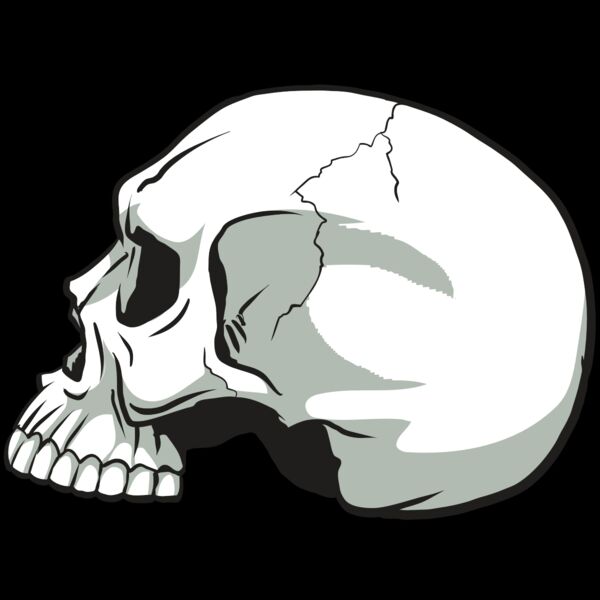 AR24 SKULL 11 RQC Thumbnail