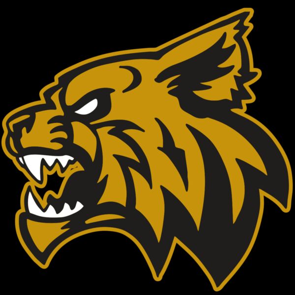 AR WILDCAT 16 RC Thumbnail